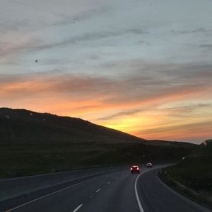 Meet your Posher, Roy